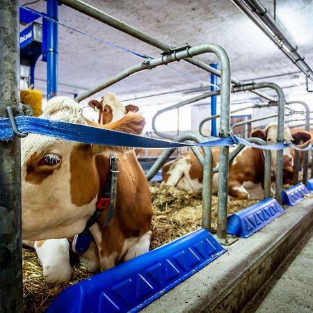 Ferienwohnungen Am Biobauernhof Lahner Bramberg am Wildkogel Luaran gambar